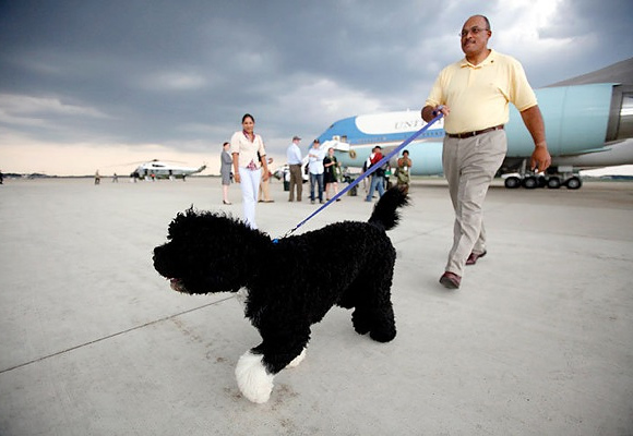 3 pic on Design You Trust 3 Barack Obama Holidays