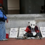 oso 150x150 pic on Design You Trust oso 150x150 Homeless polar bears .