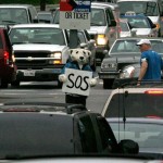 oso3 150x150 pic on Design You Trust oso3 150x150 Homeless polar bears .