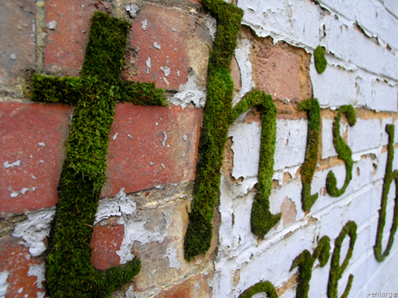moss graffiti