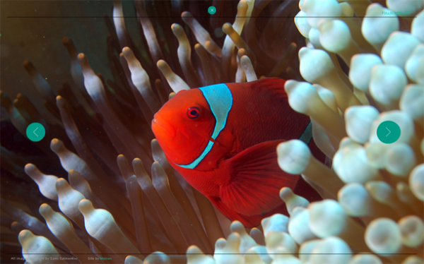 110 600x374 pic on Design You Trust 110 600x374 10 Best Flash Websites For Your Inspiration!