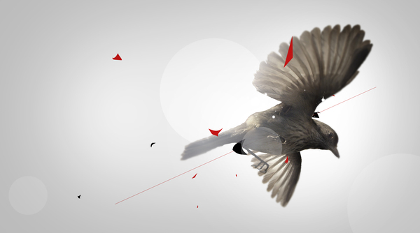 1300211266376146 aves
