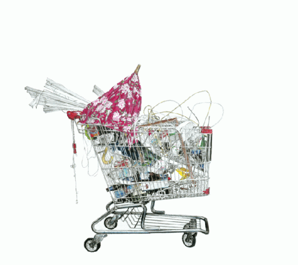 taizo yamamoto 0001 0 600x533 Shopping Carts by Taizo Yamamoto 