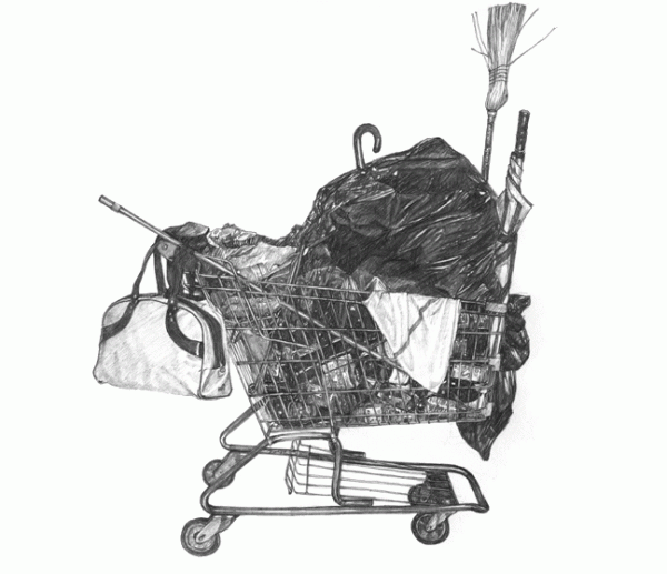 taizo yamamoto 0008 0 600x517 Shopping Carts by Taizo Yamamoto 