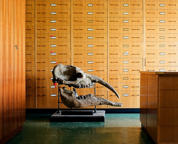 115 Klaus Pichler   Skeletons In the Closet