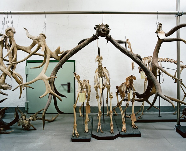 8 Klaus Pichler   Skeletons In the Closet