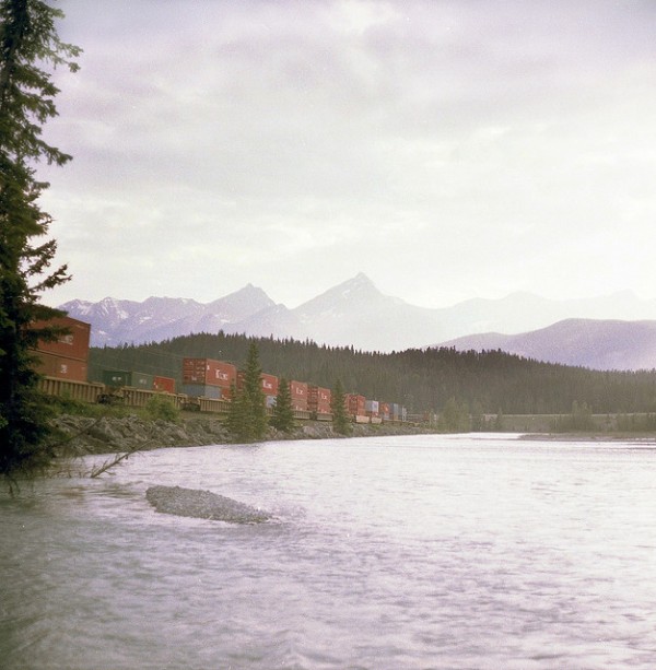 3929345109 b2f34179d2 z 600x613 Photography by Swampy