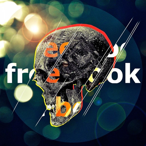 FreeBook 2 600x600 FACEBOOK IS OUT   PLENTY OF CONTEMPORARY ARTISTS SAY