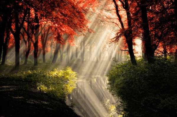 Lars van de Goor 11 Rays of Light