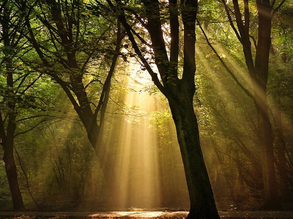 Lars van de Goor 3 Rays of Light