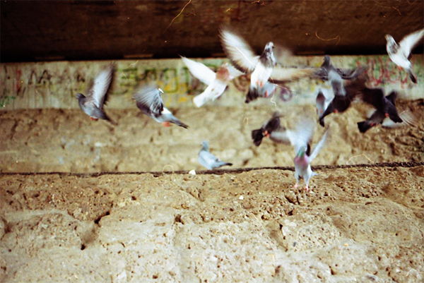 unnamed 56tge6p7e0 pic on Design You Trust unnamed 56tge6p7e0 weshoot35mm.
