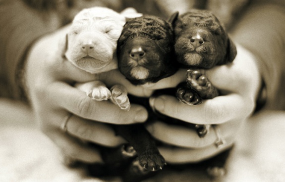 unnamed k9owu9lbj pic on Design You Trust unnamed k9owu9lbj Heart Warming Photos in the Animal Kingdom