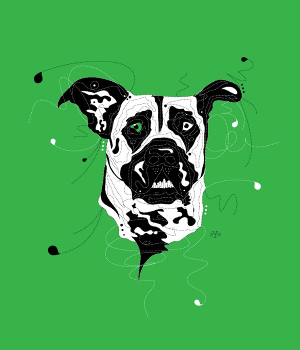 39 Illustrations – Amy Martino 