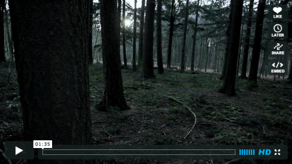December Screen shot 600x338 pic on Design You Trust December Screen shot 600x338 The best video of Christmas Eve! Merry Christmas!
