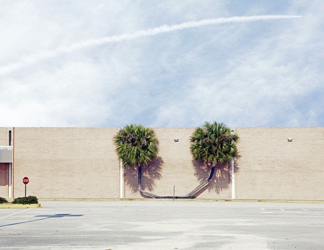 The Space Coast001 640x494 Photography by David Ryle
