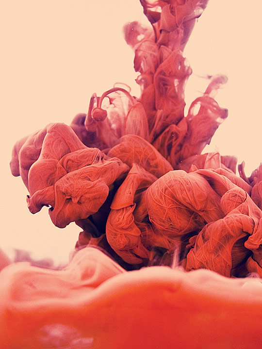 DAILY INSPIRATIONS FOR DYT #10 dyt09c1 DAILY INSPIRATIONS FOR DYT #10
