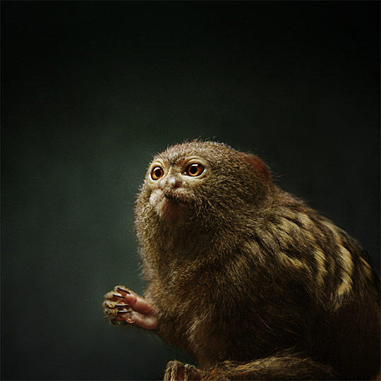 dyt28d DAILY INSPIRATIONS FOR DYT #28