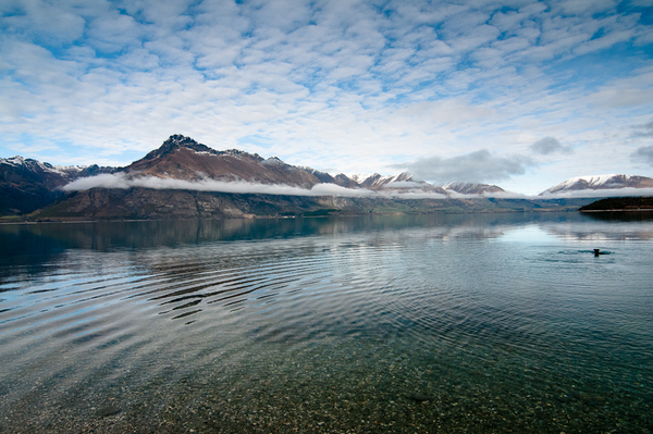  New Zealand Photography