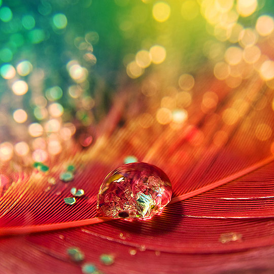 rai03 pic on Design You Trust rai03 Colors of Rainbow