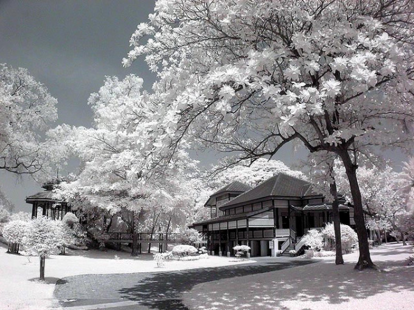 unnamed 5c14wd7i5u pic on Design You Trust unnamed 5c14wd7i5u Infrared photography
