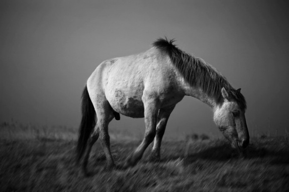 unnamed cwlq4svw1 pic on Design You Trust unnamed cwlq4svw1 Stunning Black and White Photography by Chris Friel