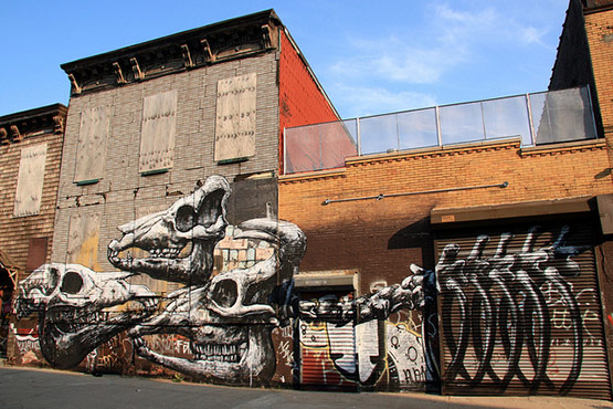 14 Graffiti Art Graffiti Street Art of Animals