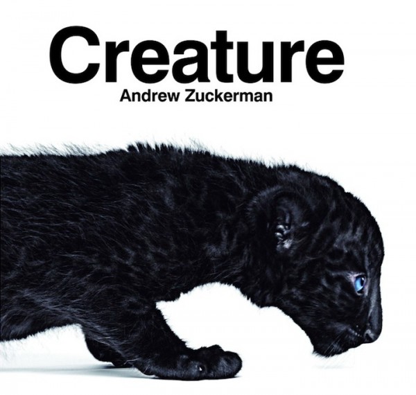 350509 600x570 Creature Book by Andrew Zuckerman