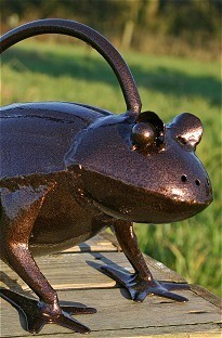 Watering Can Frog pic on Design You Trust Watering Can Frog Art for garden