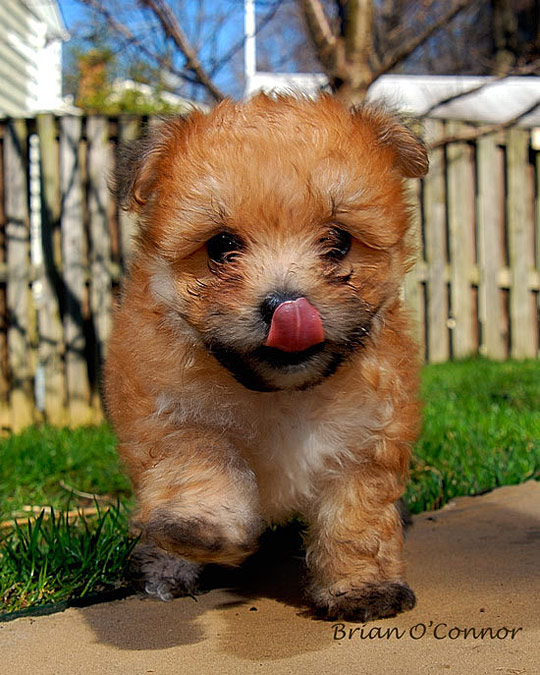 Digital art selected for the Daily Inspiration #717