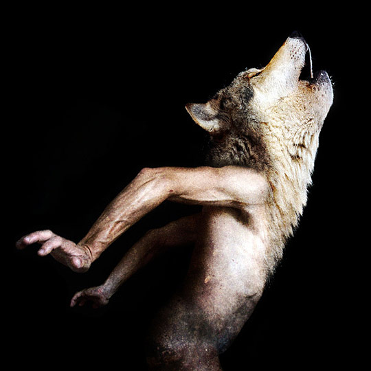 di95a Daily Inspirations no. 95