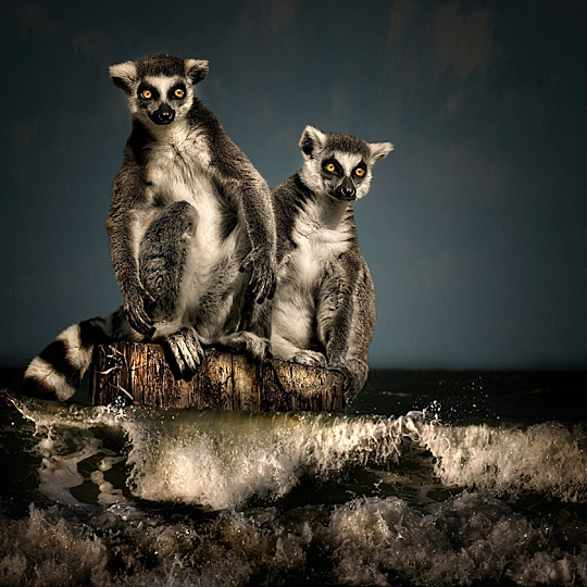 DAILY INSPIRATIONS FOR DYT #54 dyt54c DAILY INSPIRATIONS FOR DYT #54