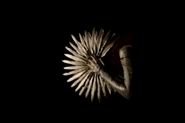 Gareth Pugh 2011 gareth pugh 2 Gareth Pugh 2011