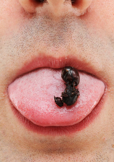 giant toasted ants 2 pic on Design You Trust giant toasted ants 2 Giant Toasted Ants for Breakfast ? Available now