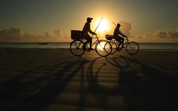 i1a 41 Outstanding Examples of Silhouette Photos