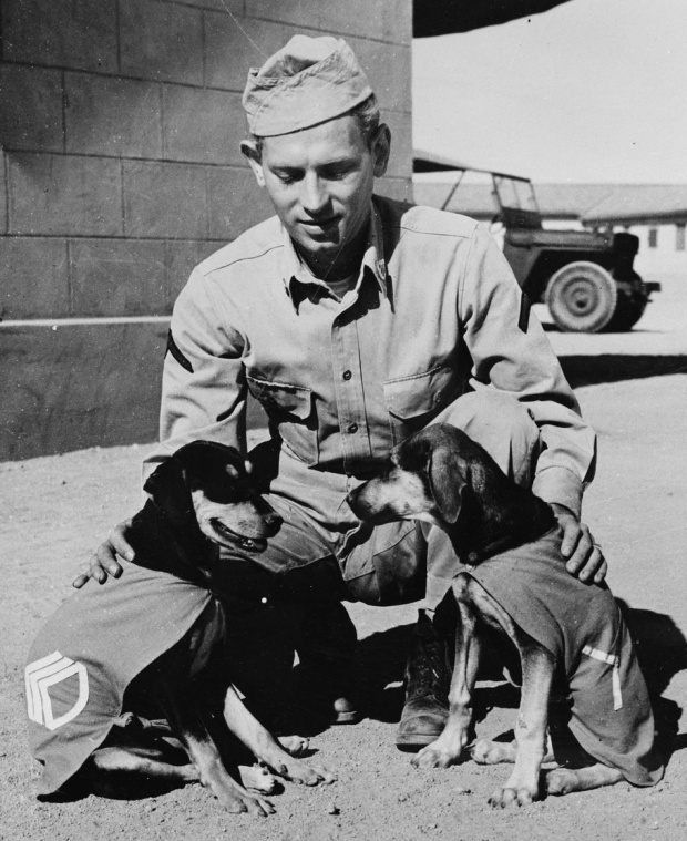 ins11c Animals in War