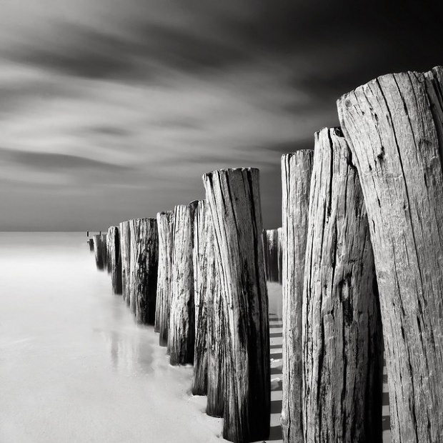  Julius Tjintjelaar’s Black and White Landscapes Will Take You Away