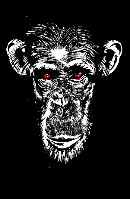 singe Nicolas Henriot A.K.A. Baze