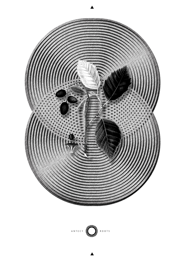 unnamed 1gkavpg1nt pic on Design You Trust unnamed 1gkavpg1nt Personal project, Roots