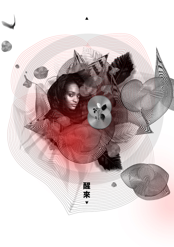 unnamed 7w02mc0j6i pic on Design You Trust unnamed 7w02mc0j6i Personal project, Roots