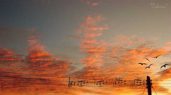 valeria 08 600x335 pic on Design You Trust valeria 08 600x335 Playing with the sky by Valeria Prieto