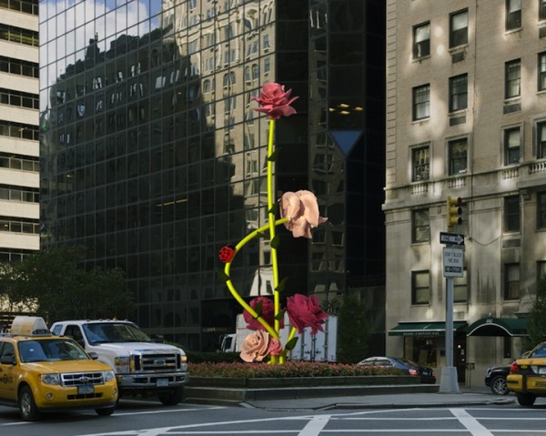 willrymanroses3 600x479 pic on Design You Trust willrymanroses3 600x479 Giant Roses Bloom in New York
