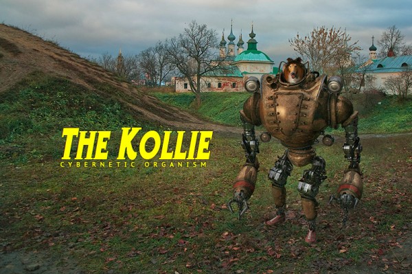 1 144 600x399 The Kollie: Cybernetic Organism