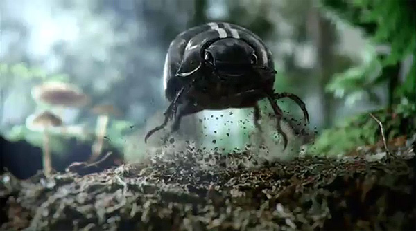 Black Beetle Commercial