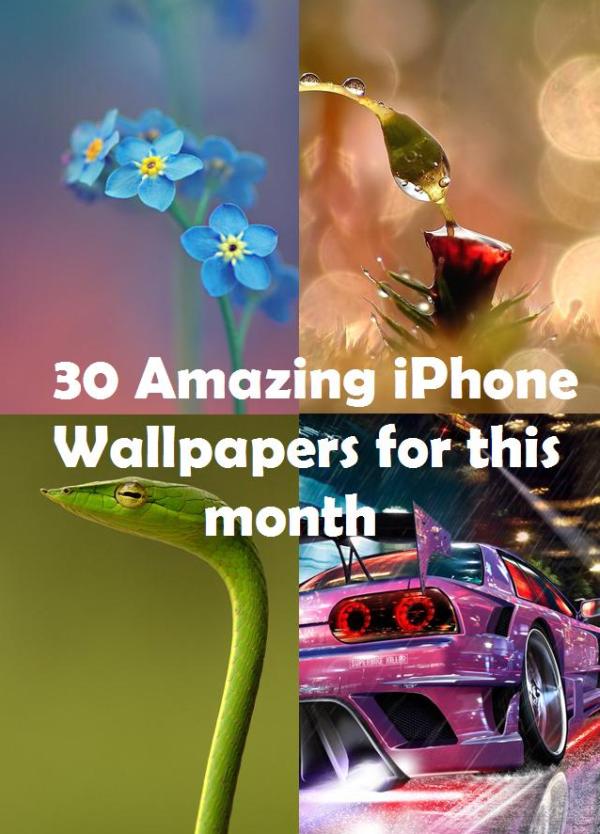 beautiful flowers iphone wallpaper 30 Stunning iPhone wallpapers
