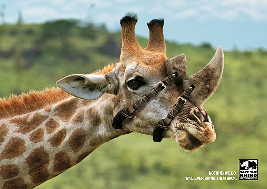 Daily Inspirations no. 106 di106a Daily Inspirations no. 106