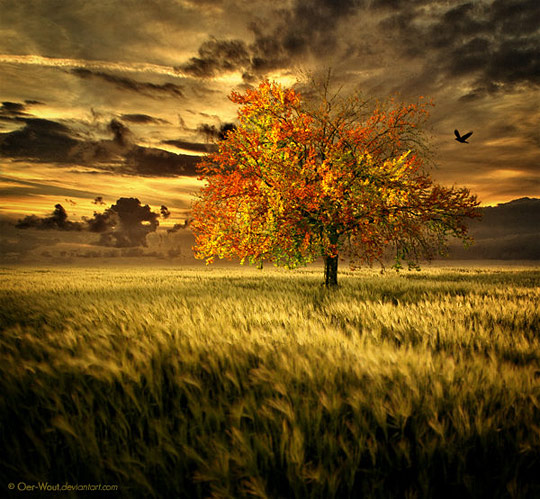 DAILY INSPIRATIONS FOR DYT #61 dyt61a DAILY INSPIRATIONS FOR DYT #61