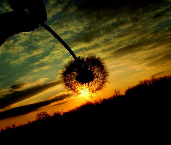 sun1a pic on Design You Trust sun1a Inspiring Examples of Sunset Photography