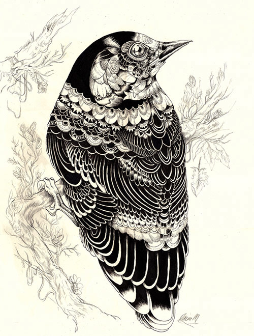 01 AnimalDrawing pic on Design You Trust 01 AnimalDrawing Incredibly Amazing Animal Illustrations by Iain Macarthur