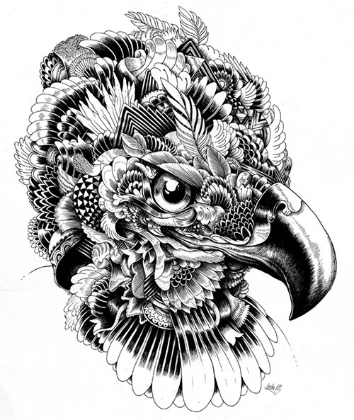 05 AnimalDrawing Incredibly Amazing Animal Illustrations by Iain Macarthur