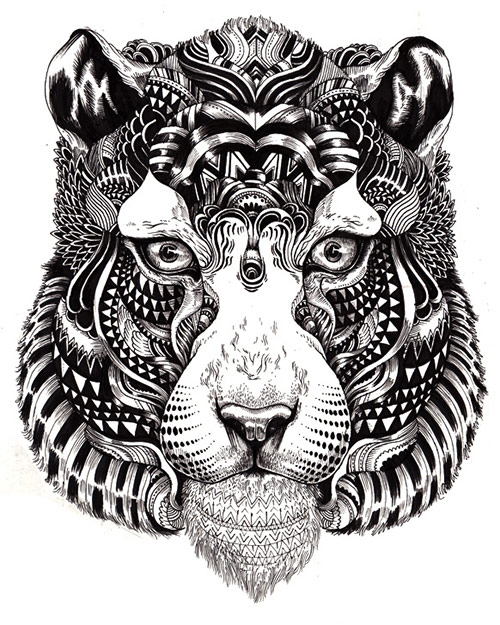 10 AnimalDrawing Incredibly Amazing Animal Illustrations by Iain Macarthur
